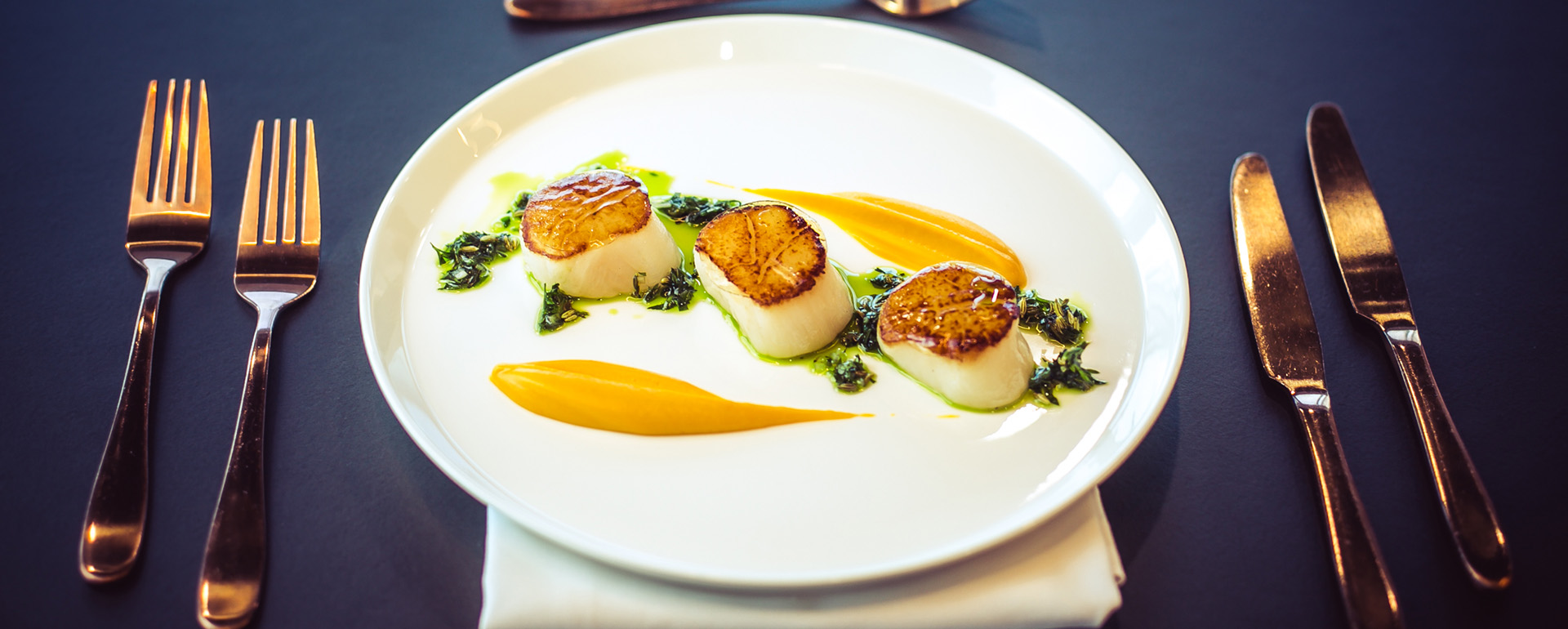 Fine dining plate with scallops